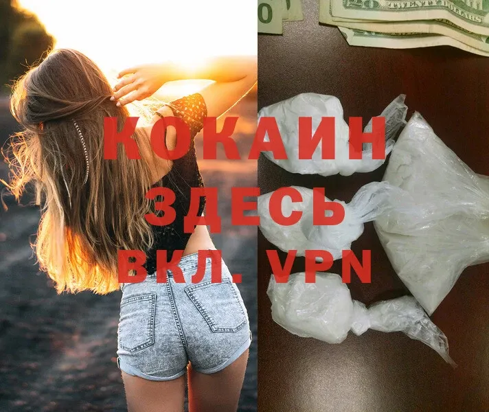 где продают наркотики  Белозерск  Cocaine FishScale 
