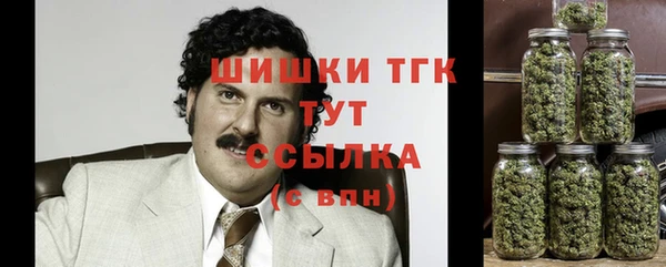 ПСИЛОЦИБИНОВЫЕ ГРИБЫ Сатка