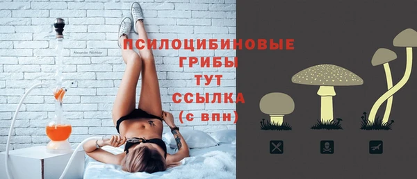 ПСИЛОЦИБИНОВЫЕ ГРИБЫ Сатка