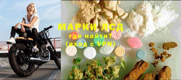 ПСИЛОЦИБИНОВЫЕ ГРИБЫ Сатка