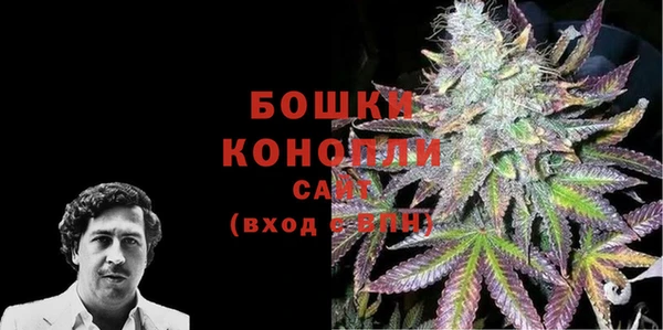 ПСИЛОЦИБИНОВЫЕ ГРИБЫ Сатка
