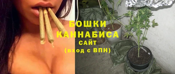 ПСИЛОЦИБИНОВЫЕ ГРИБЫ Сатка
