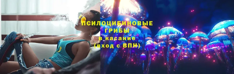 Псилоцибиновые грибы Magic Shrooms  Белозерск 